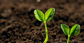 公司土壤修復項目